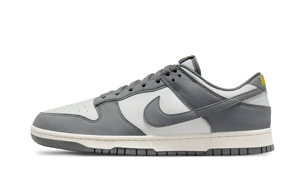 Nike Dunk Low Next Nature Iron Grey Lightning