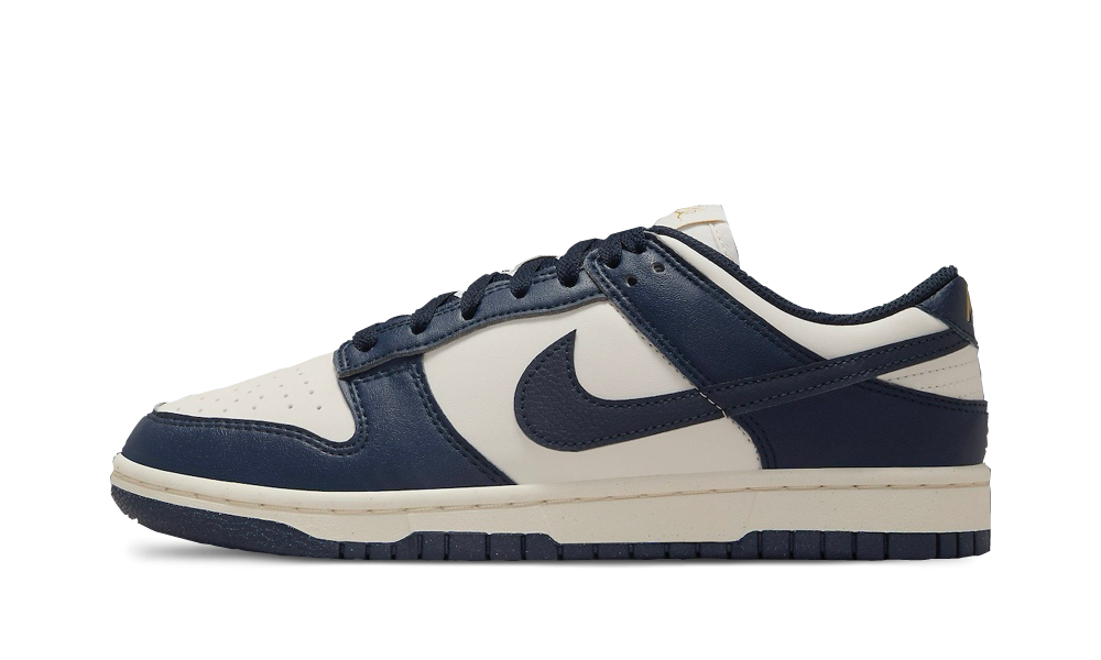 Nike Dunk Low Next Nature Olympic